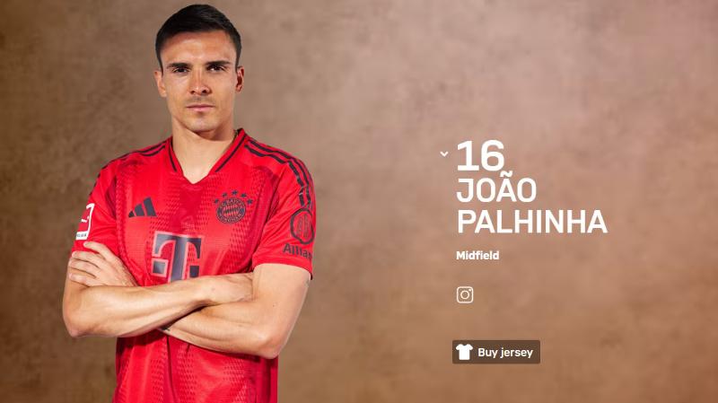 João Palhinha reforço do plantel do Bayern